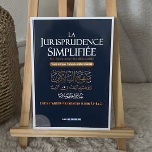 La jurisprudence simplifiée - méthode pour les débutants