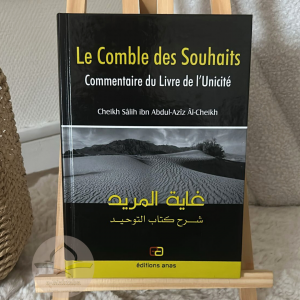 Le Comble des Souhaits : commentaire du livre de l’Unicité