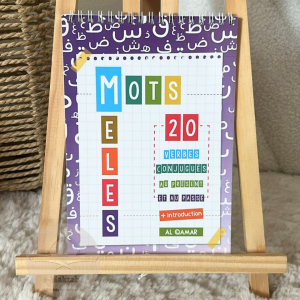 Mots Mélés - 20 verbes conjugués au présent et au passé